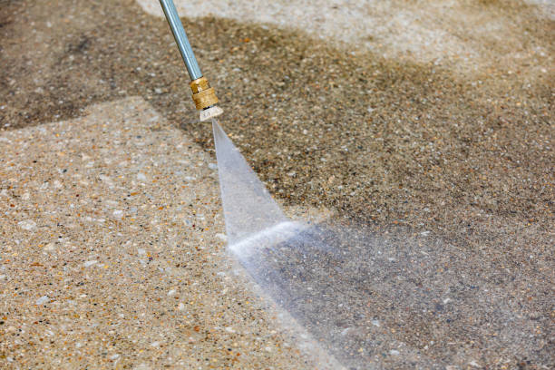 Best Roof Washing  in Kirbyville, TX