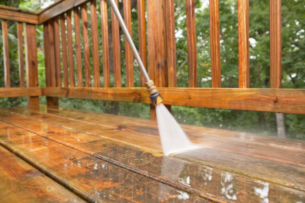 Best Dumpster Area Cleaning  in Kirbyville, TX